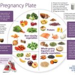 Top nutrient-rich foods for prenatal nutrition