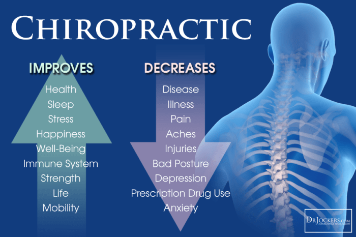 Benefits of chiropractic care in holistic health